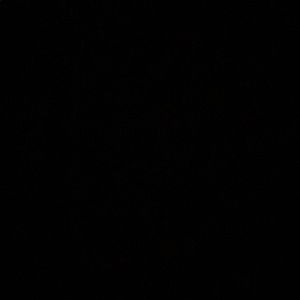 Meet your Posher, Lorena